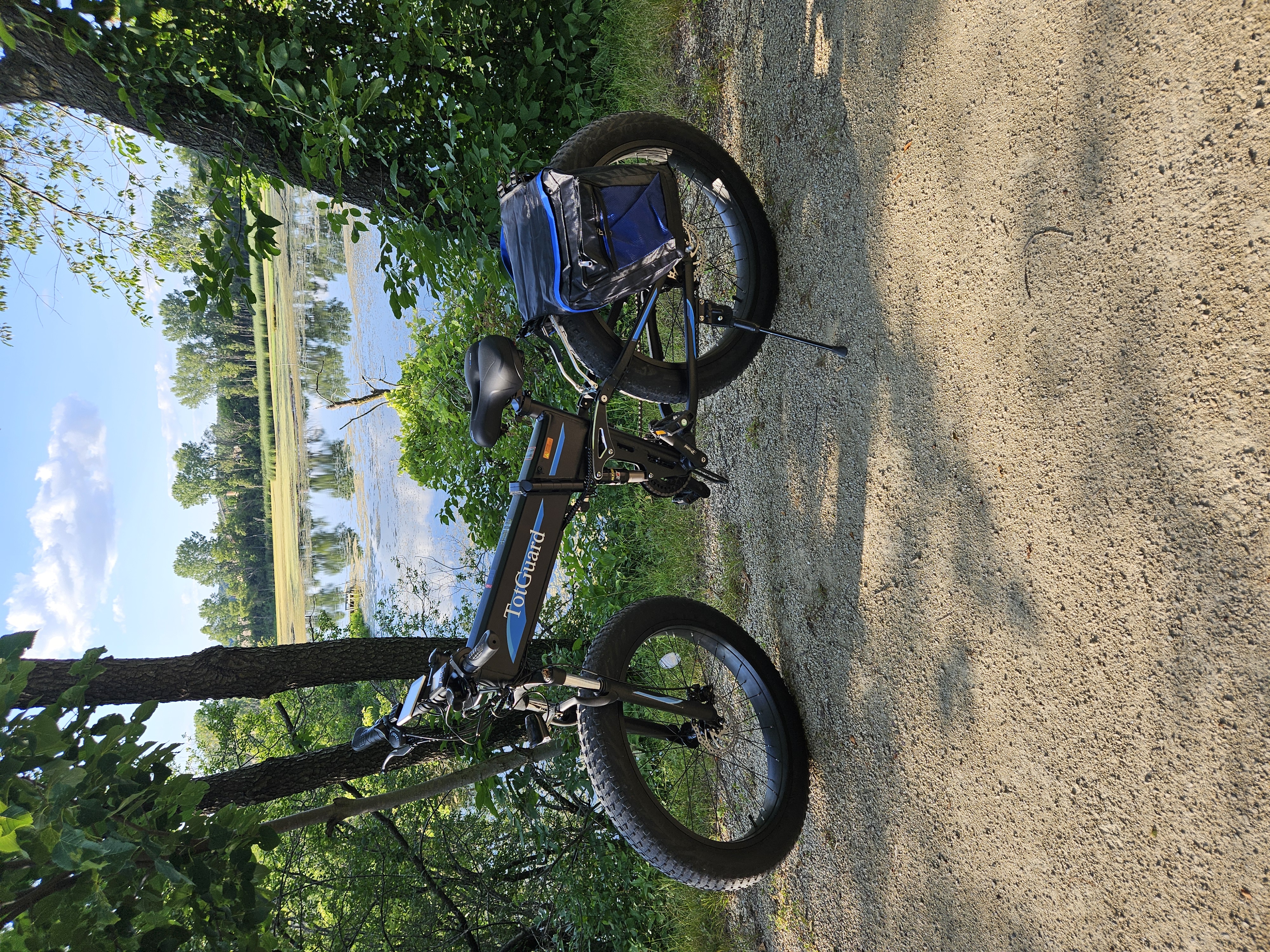 Totguard Fat Tire Folding Ebike